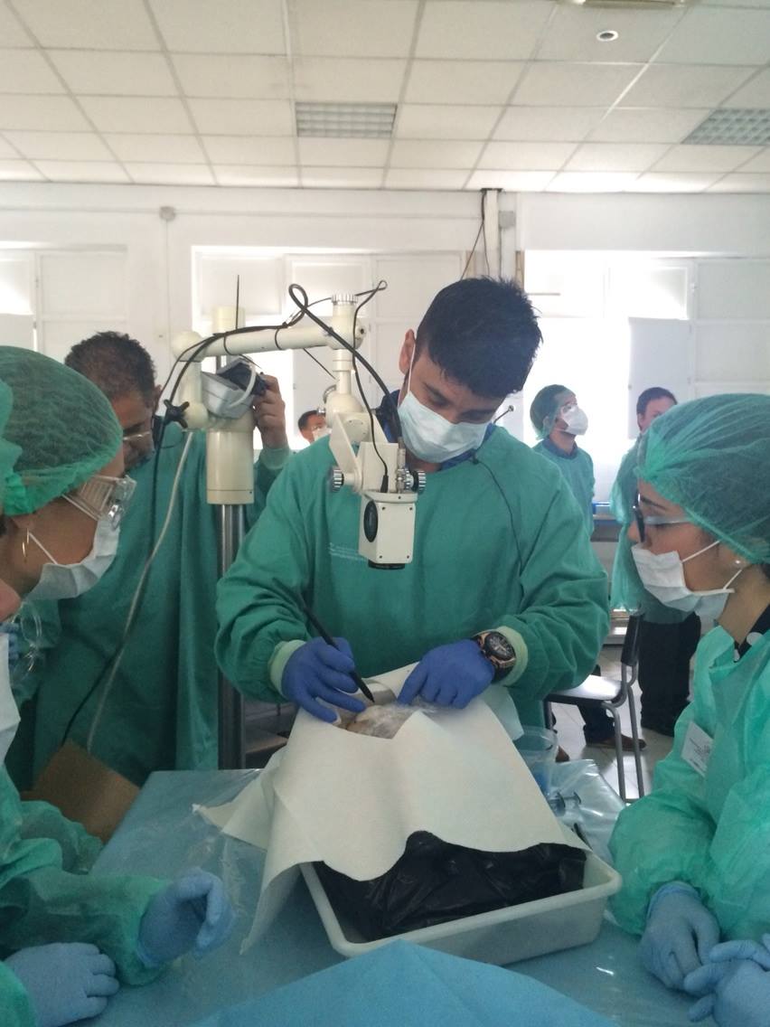 Facial Anatomy Cadaver Course for Aesthetic Clinicians DrBKTI