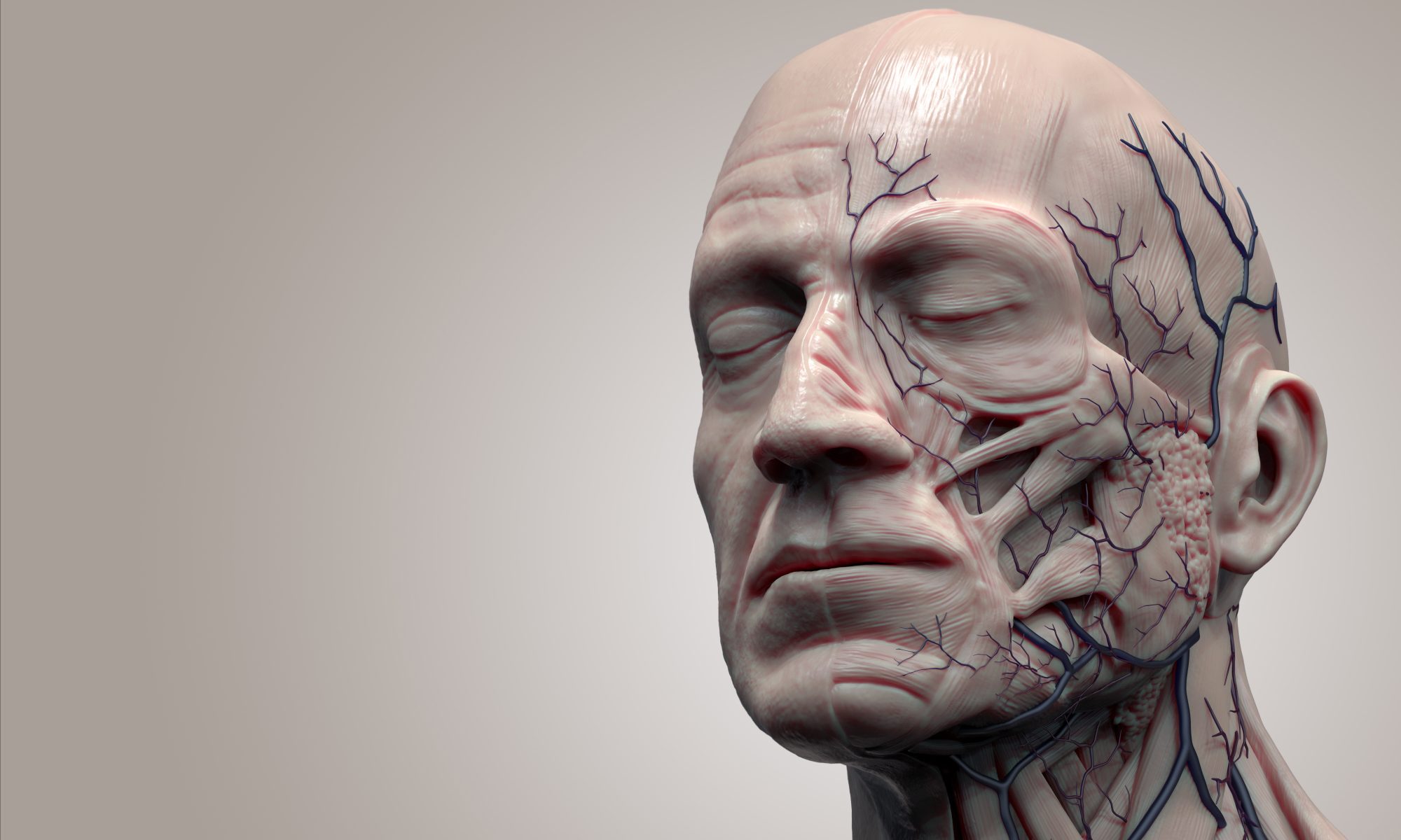 Facial Anatomy Cadaver Course at the Dr Bob Khanna Training Institute