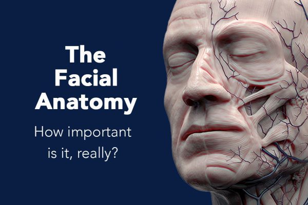 FacialAnatomy